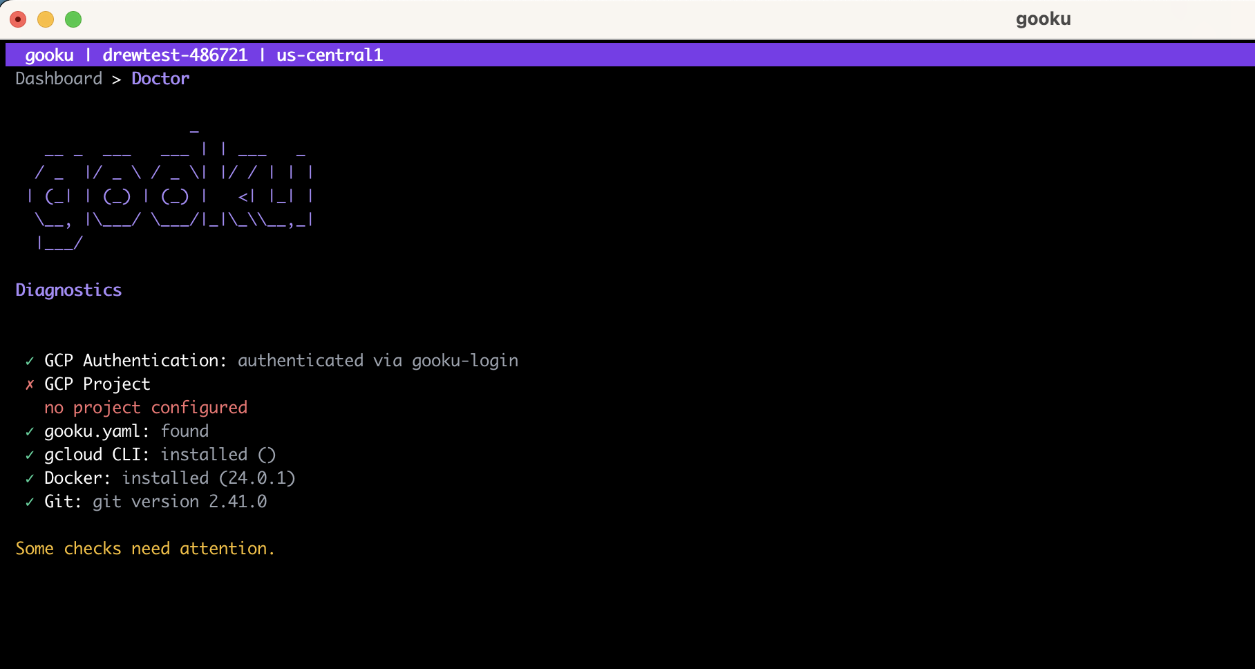 Doctor diagnostics screen showing GCP authentication, project, gooku.yaml, gcloud CLI, Docker, and Git checks with a missing project flagged